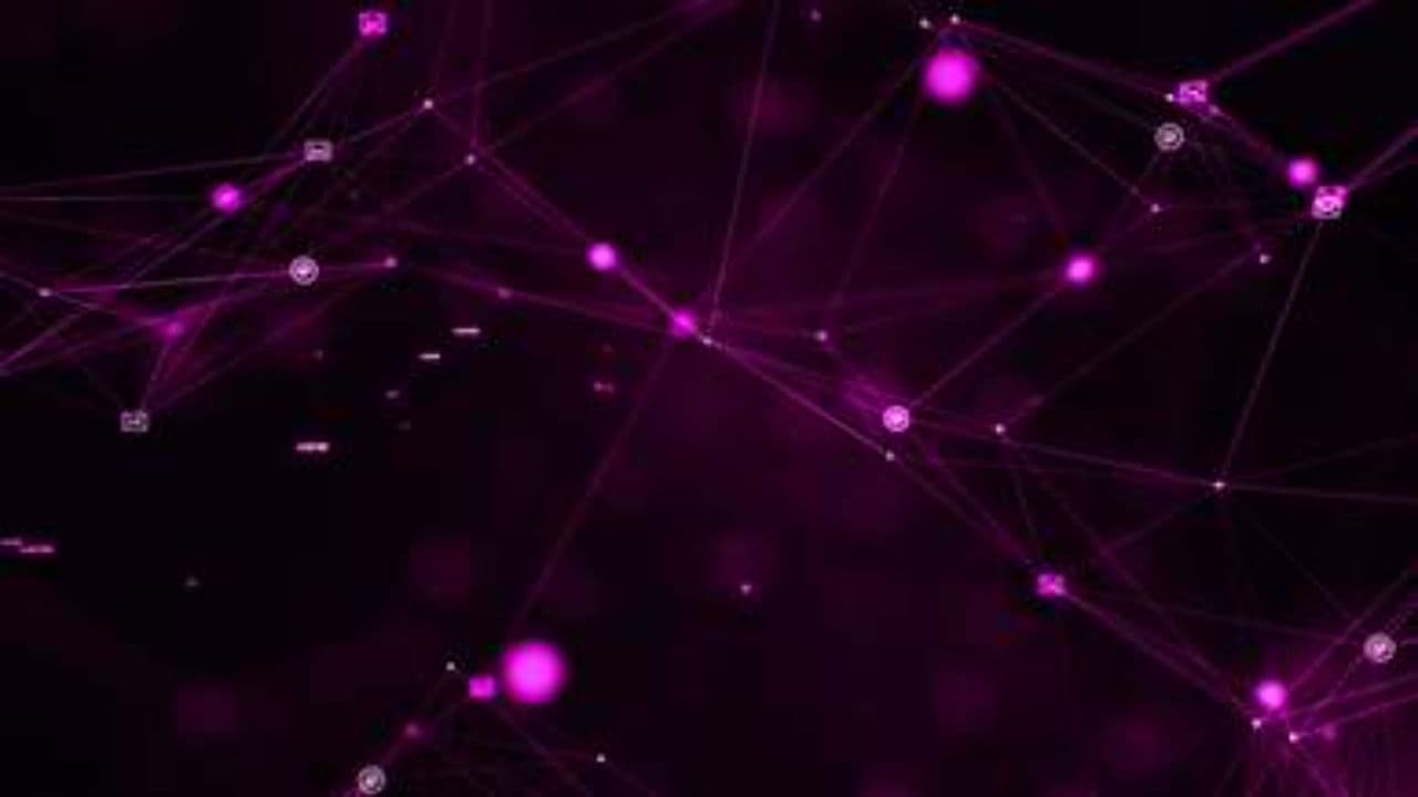 Fragments of a Dream